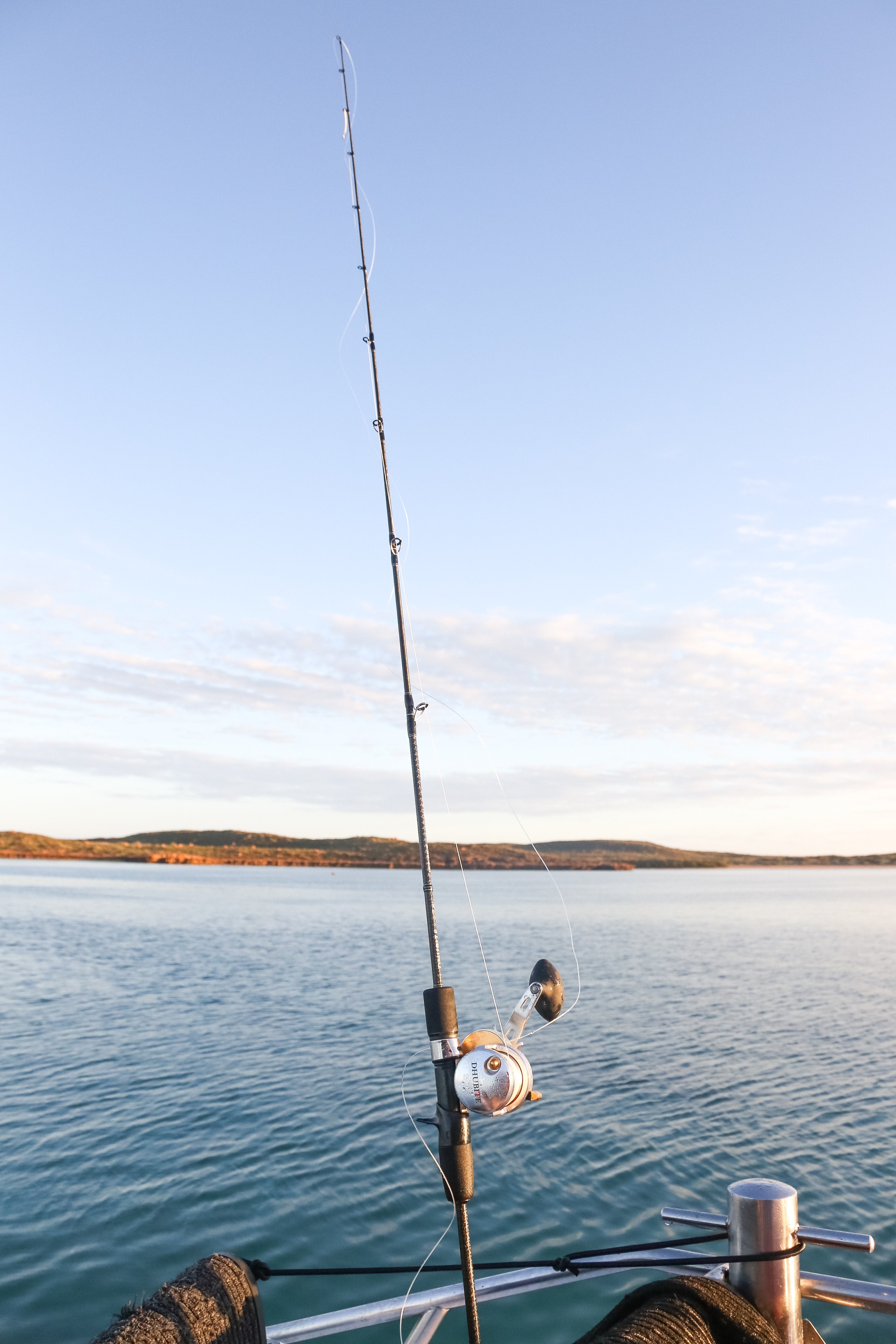 Shimano Backbone Rods - Overhead Boat Game Fishing Rods