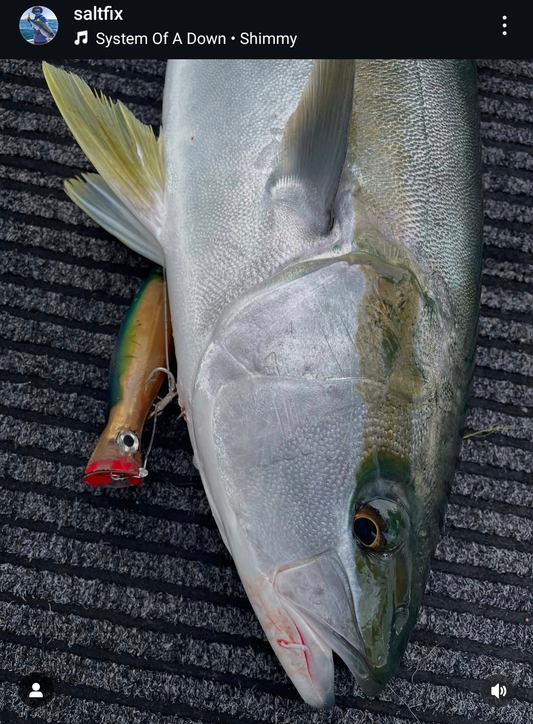 Popper 120mm